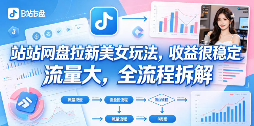 B站网盘拉新美女玩法，收益很稳定，流量大，全流程拆解，新手可做-网创303-全网优质网创项目教程资源站