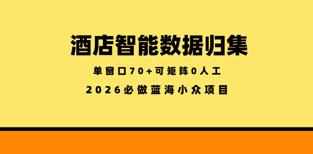 酒店智能数据归集，小众蓝海已经稳定半年之久，单窗口70+零成本矩阵开干【揭秘】玩法，新手可做 - 网创303-全网优质网创项目教程资源站-网创303-全网优质网创项目教程资源站