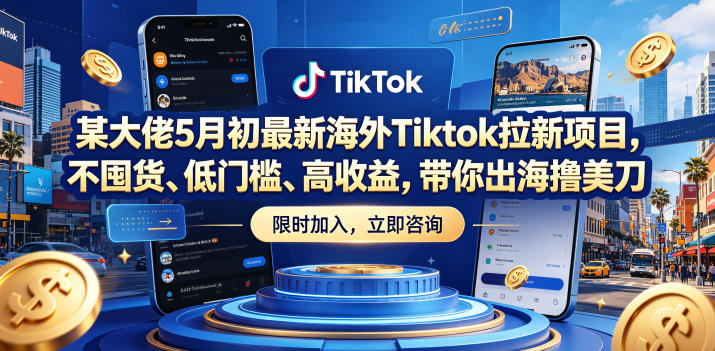 某大佬5月初最新海外Tiktok拉新项目，不囤货、低门槛、高收益，带你出海撸美刀玩法，新手可做 - 网创303-全网优质网创项目教程资源站-网创303-全网优质网创项目教程资源站