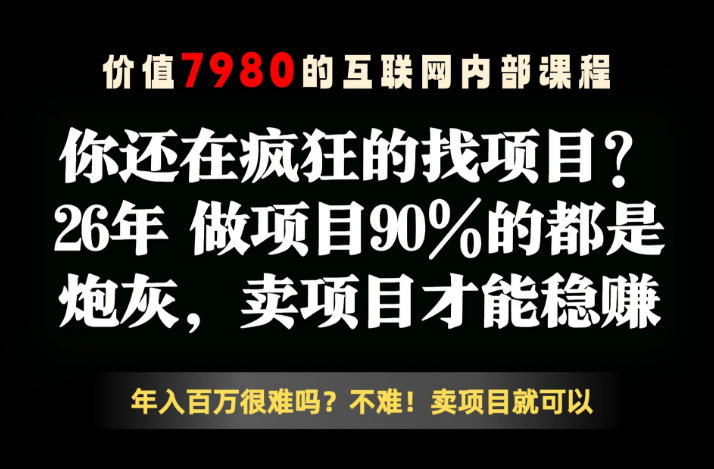 26年请不要疯狂的找项目了，卖项目远比你想象的暴利，你也可以月入10W+【揭秘】玩法，新手可做 - 网创303-全网优质网创项目教程资源站-网创303-全网优质网创项目教程资源站